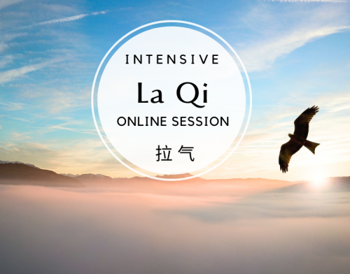 La Qi Online Sessions @qigonglife