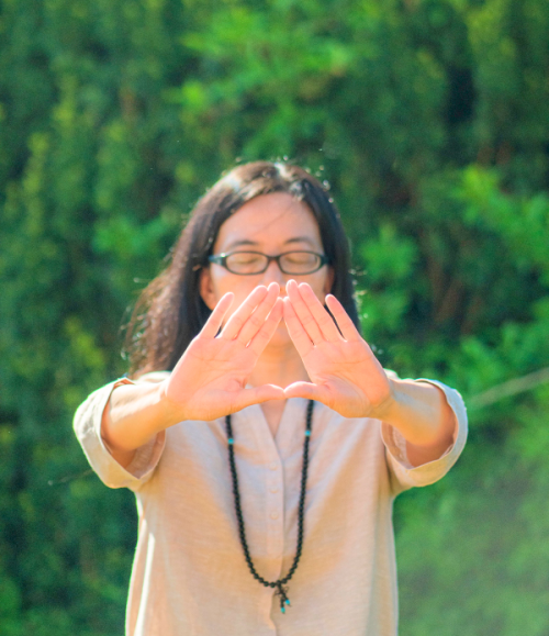 Qigong private online lessions zhi neng qi gong ©qigonglife