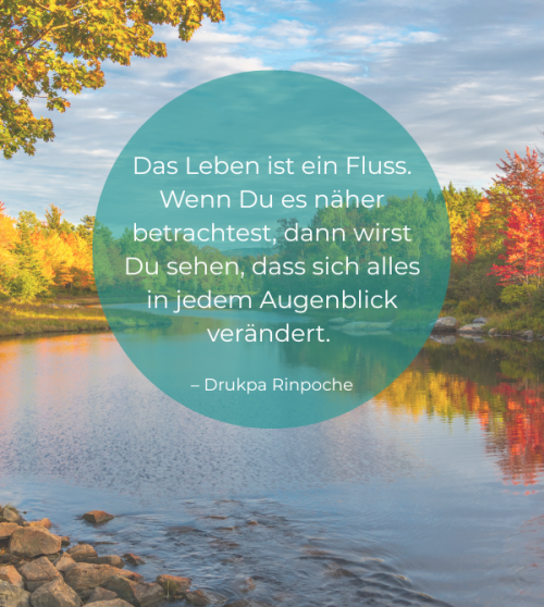 vorteile von qigong @qigong-life